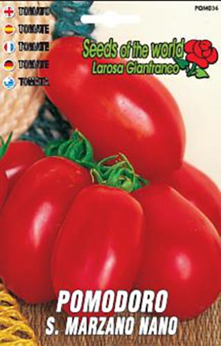 Bio Pomodoro San Marzano Nano Lycopersicon Esculentum