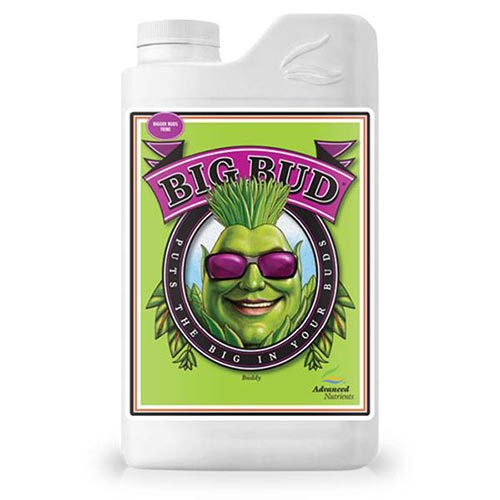 Big Bud 500ml