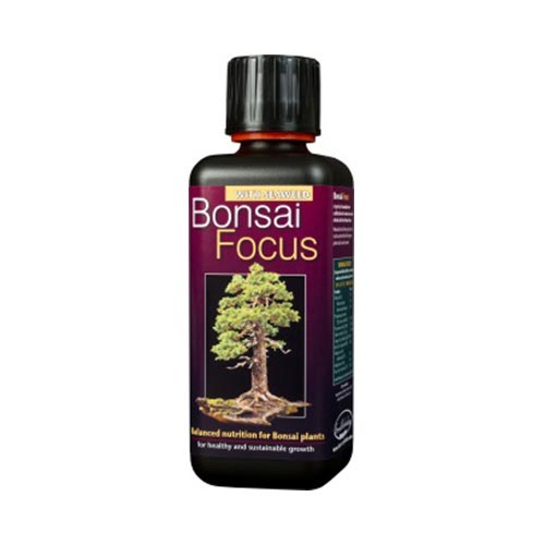 Bonsai Focus 300ml