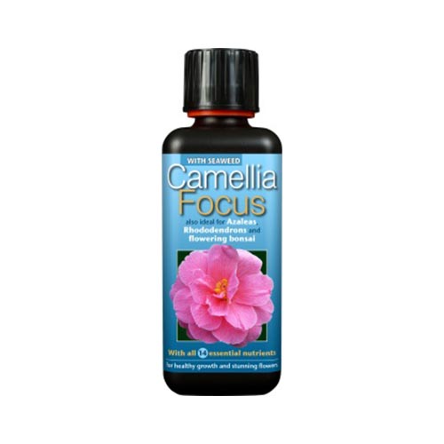 Camelia Focus 300ml