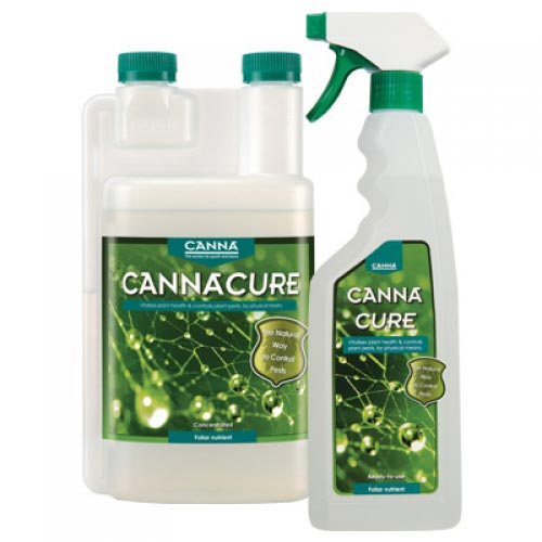 Cannacure Concentrato 1L