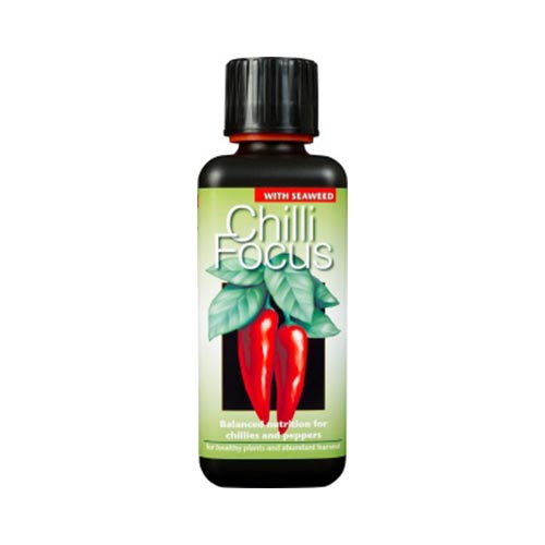 Chilli Focus 300 ml