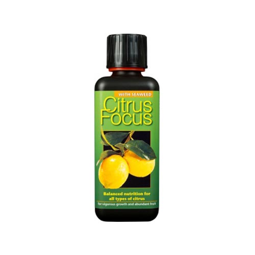 Citrus Focus 1L