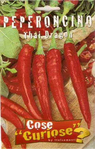 Peperoncino Thai Dragon