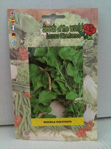 Rucola coltivata