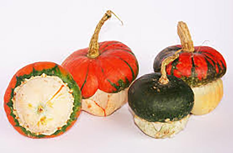 Zucca turbante mini