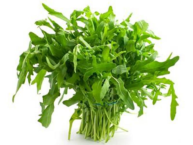 Rucola da Orto