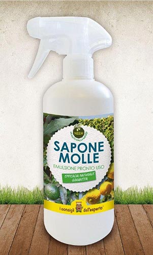 Sapone Molle Corroborante Spray 490ml