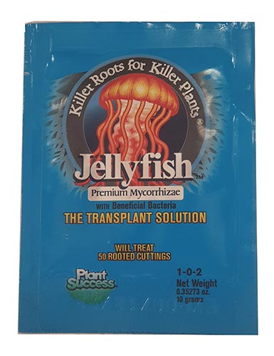 Jellyfish 1 oz/10 gr