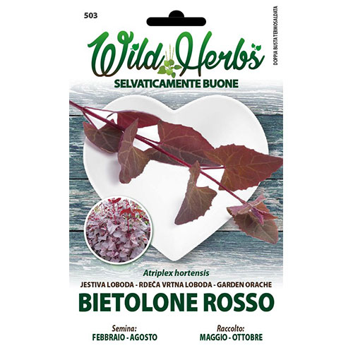 Bietolone Rosso