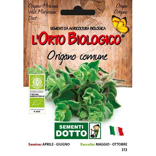 Origano Comune