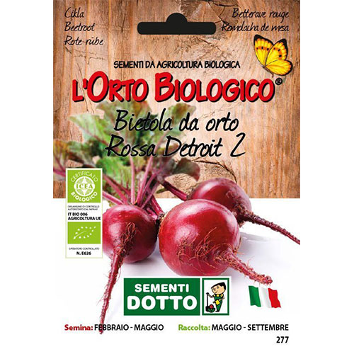 Bietola Rossa Detroit