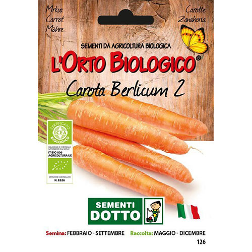 Carota Berlicum 2