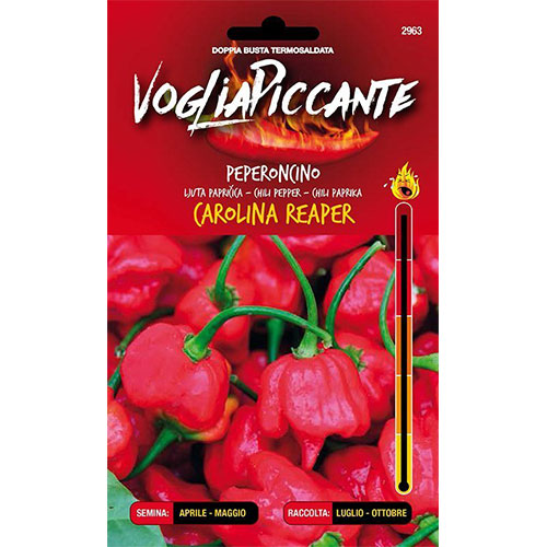 Peperoncino Carolina Reaper