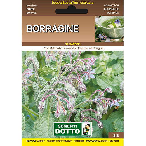 Borraggine