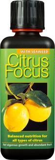 Citrus Focus 300 ml