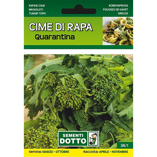 Cime di Rapa Quarantina