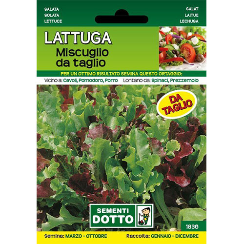 Lattuga Misticanza