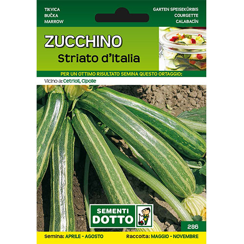 Zucchino Striato d'Italia