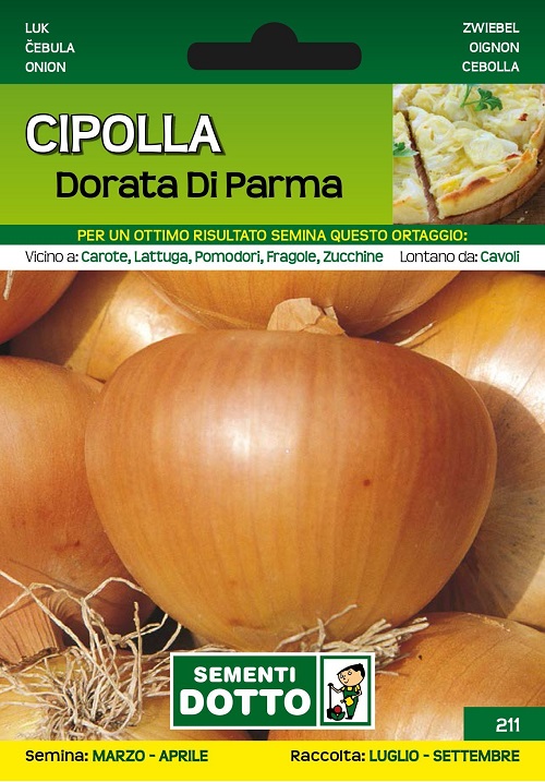 Cipolla Dorata Di Parma