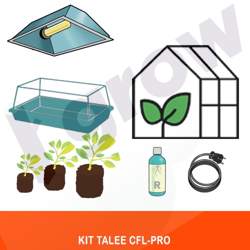 Kit Talee CFL - PRO