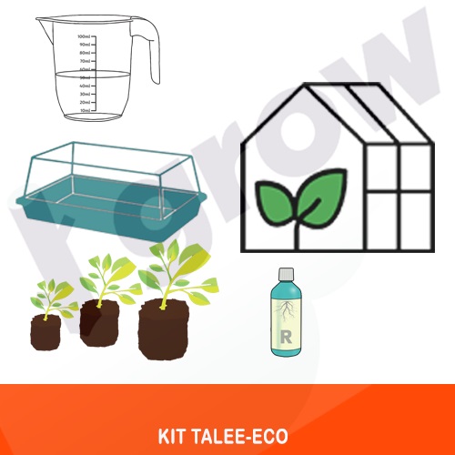 Kit Talee - ECO