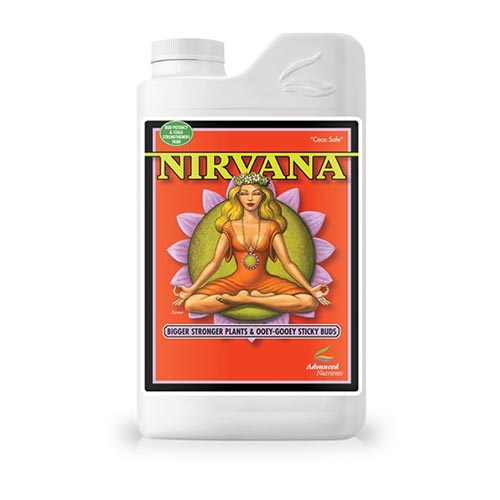 Nirvana 1L