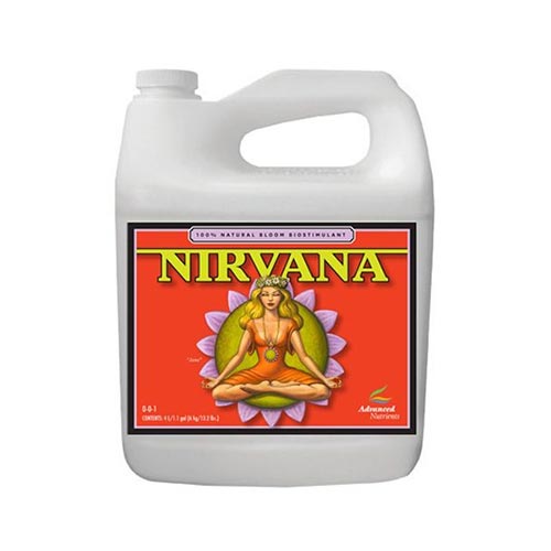 Nirvana 4L