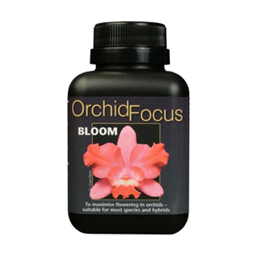 Orchid Focus Bloom 300 ml
