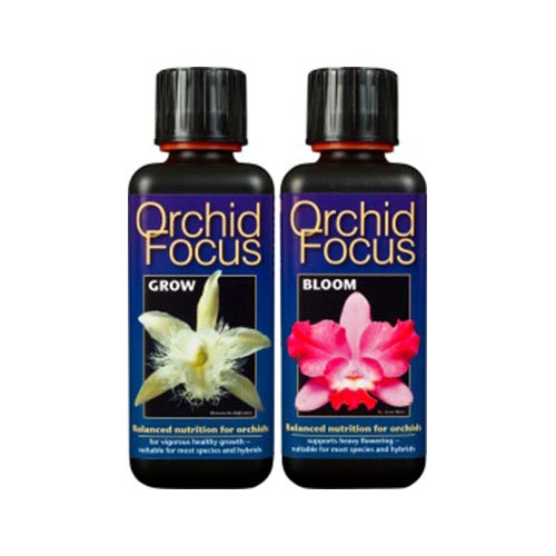 Orchid Focus Bloom 1L