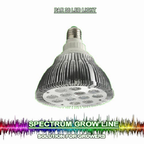 Lampada Spectrum PAR 38 - FL Fioritura 15W