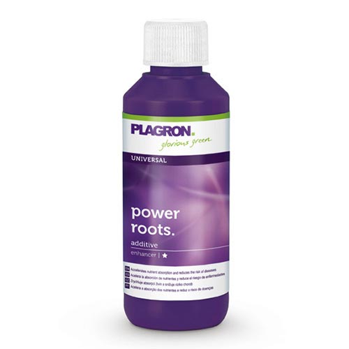 Plagron Power Root 100 ml