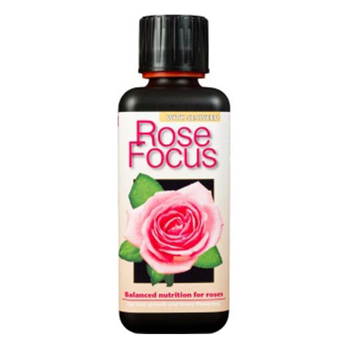 Rose Focus 300 ml