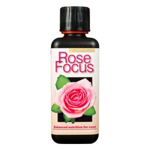 Rose Focus 1L