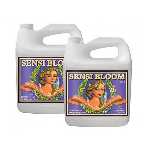 Sensi Bloom A+B 10L