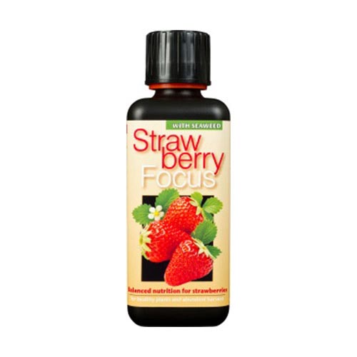 Strawberry Focus 1L