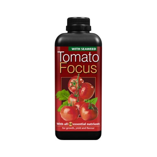 Tomato Focus 1L