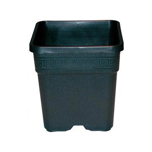 Vaso Vega Quadro 9 L