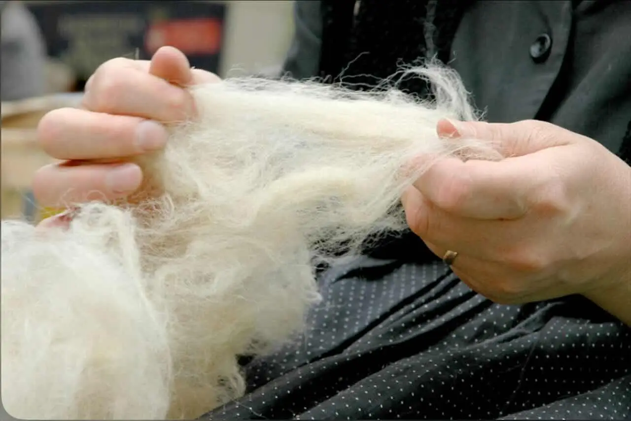 Questa non è lana o polistirolo: ecco il materiale migliore per isolare dal freddo