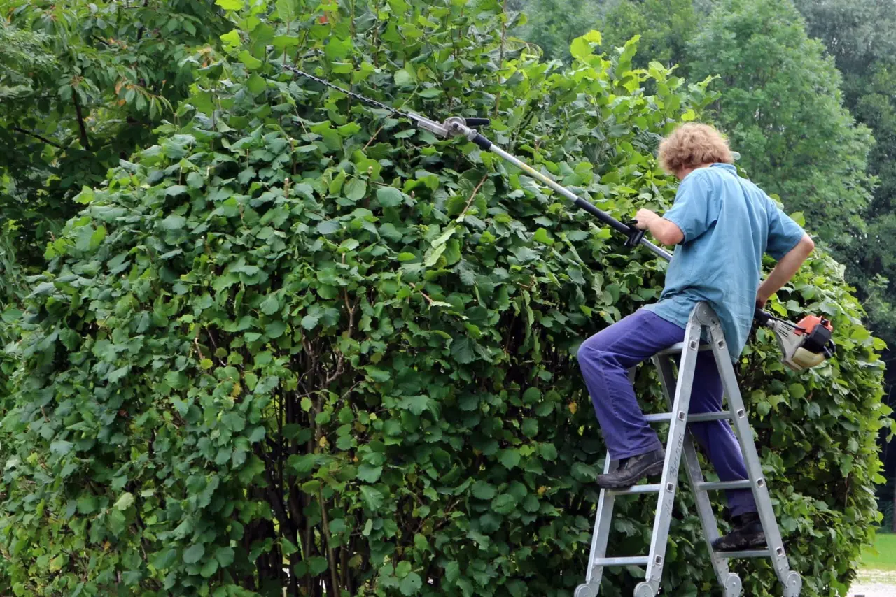 Lavorare come giardiniere: ecco come iniziare, quanto si guadagna e come trovare clienti subito