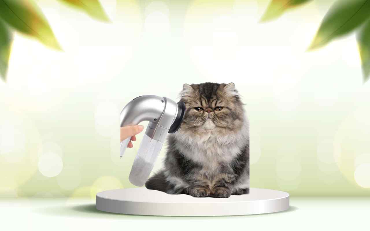 Dì addio ai peli in casa con SpazzolAmica: prova la soluzione definitiva ora