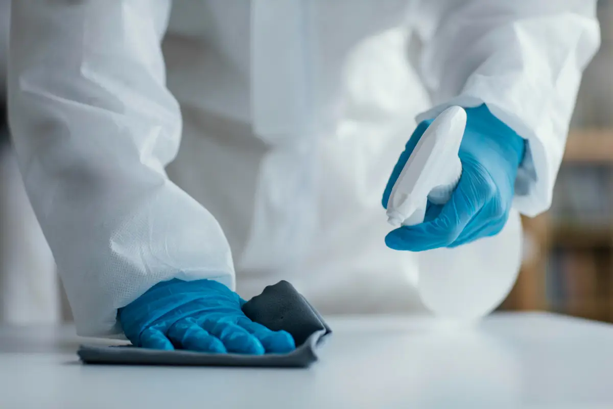 Il miglior disinfettante per ambienti: ecco quale scegliere per eliminare germi e batteri